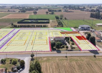 Quadrilocale Via Paolo Borsellino, Pieve di Cento - foto 8