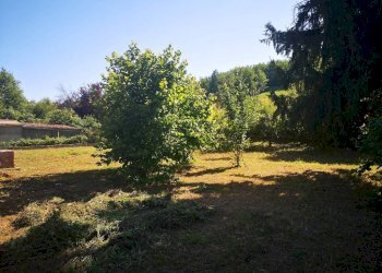 Rustic Cunico - photo 10