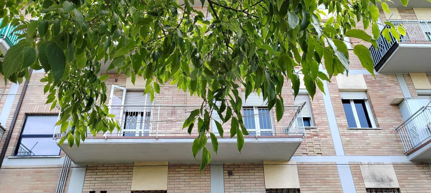 Bilocale Ravenna - foto 3