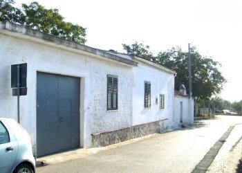 Independent house Falciano del Massico - photo 1