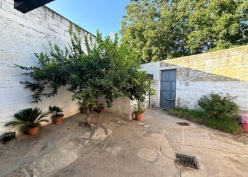 Independent house Falciano del Massico - photo 4