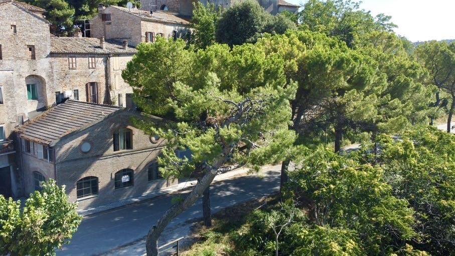 Foto 1 - Villa viale gorizia
 
1, Campofilone - foto 1