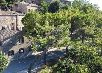 Foto 1 - Villa viale gorizia
 
1, Campofilone - foto 1