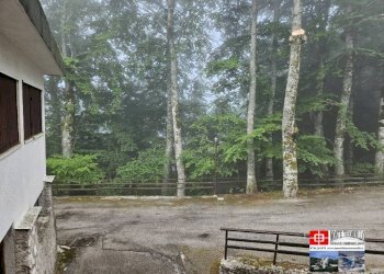 Giardino - Bilocale via degli Appennini, 23, Rieti - foto 11