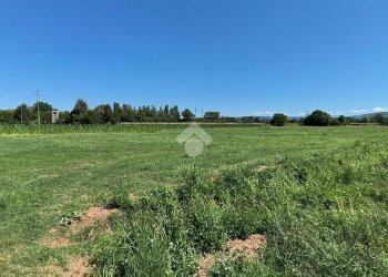 Terreno agricolo Via Vincenzo Monti, Reggio nell'Emilia - foto 5