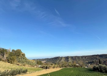 Foto 21 - Rustico Ripatransone - foto 21