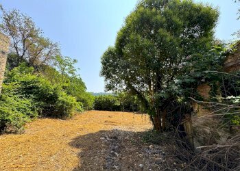 Foto 7 - Rustico Via Mostrapiedi
 
snc, Sant'Elpidio a Mare - foto 7