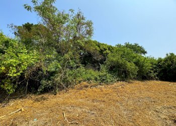 Foto 8 - Rustico Via Mostrapiedi
 
snc, Sant'Elpidio a Mare - foto 8