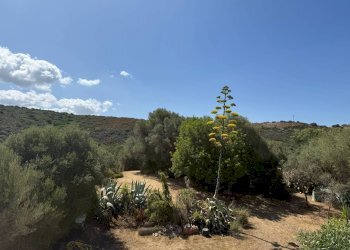 Foto 19 - Casa indipendente Via delle Gerbere
 
snc, Quartucciu - foto 19