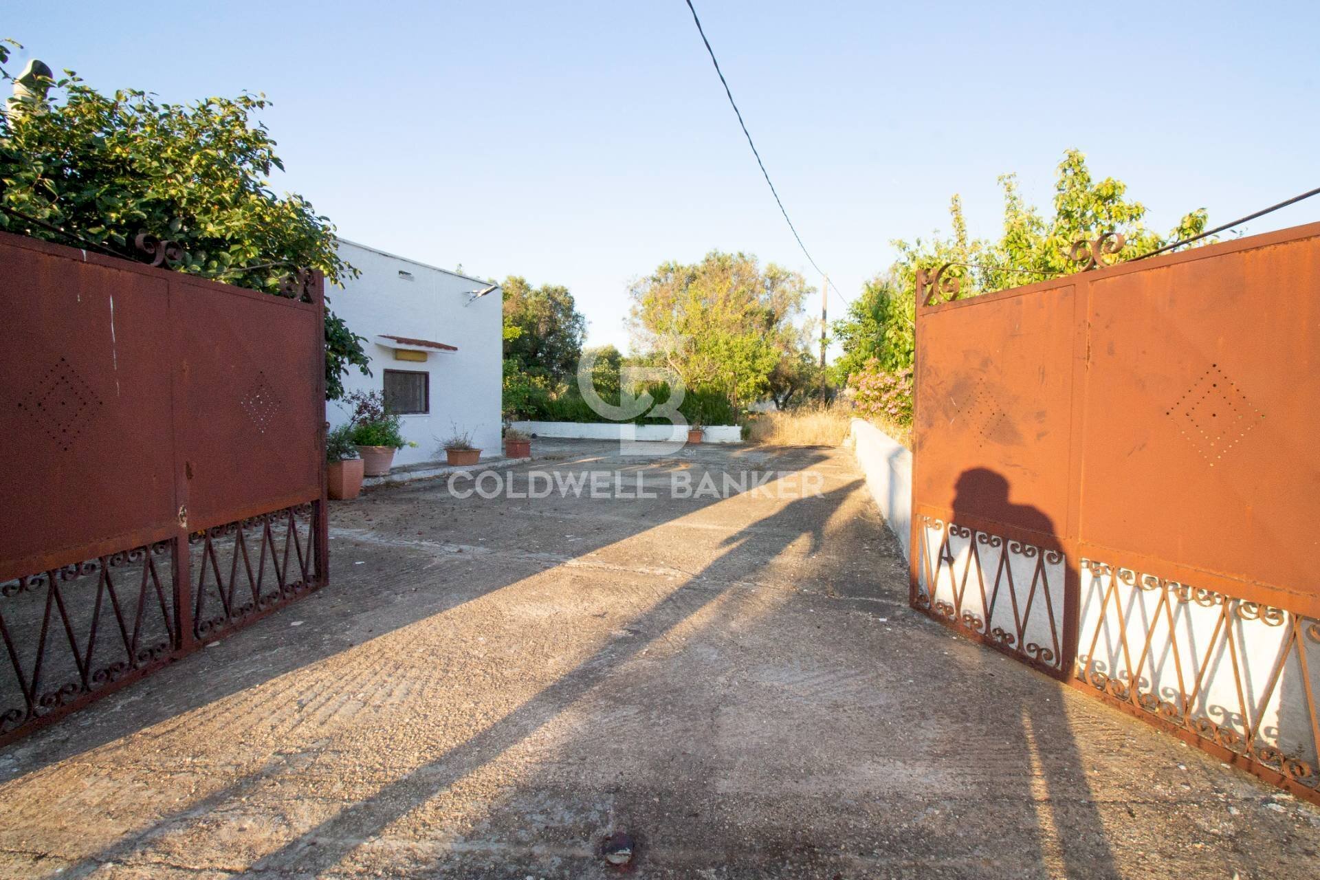 Foto 2 - Villa Contrada Parco Grande
sn, Carovigno - foto 2