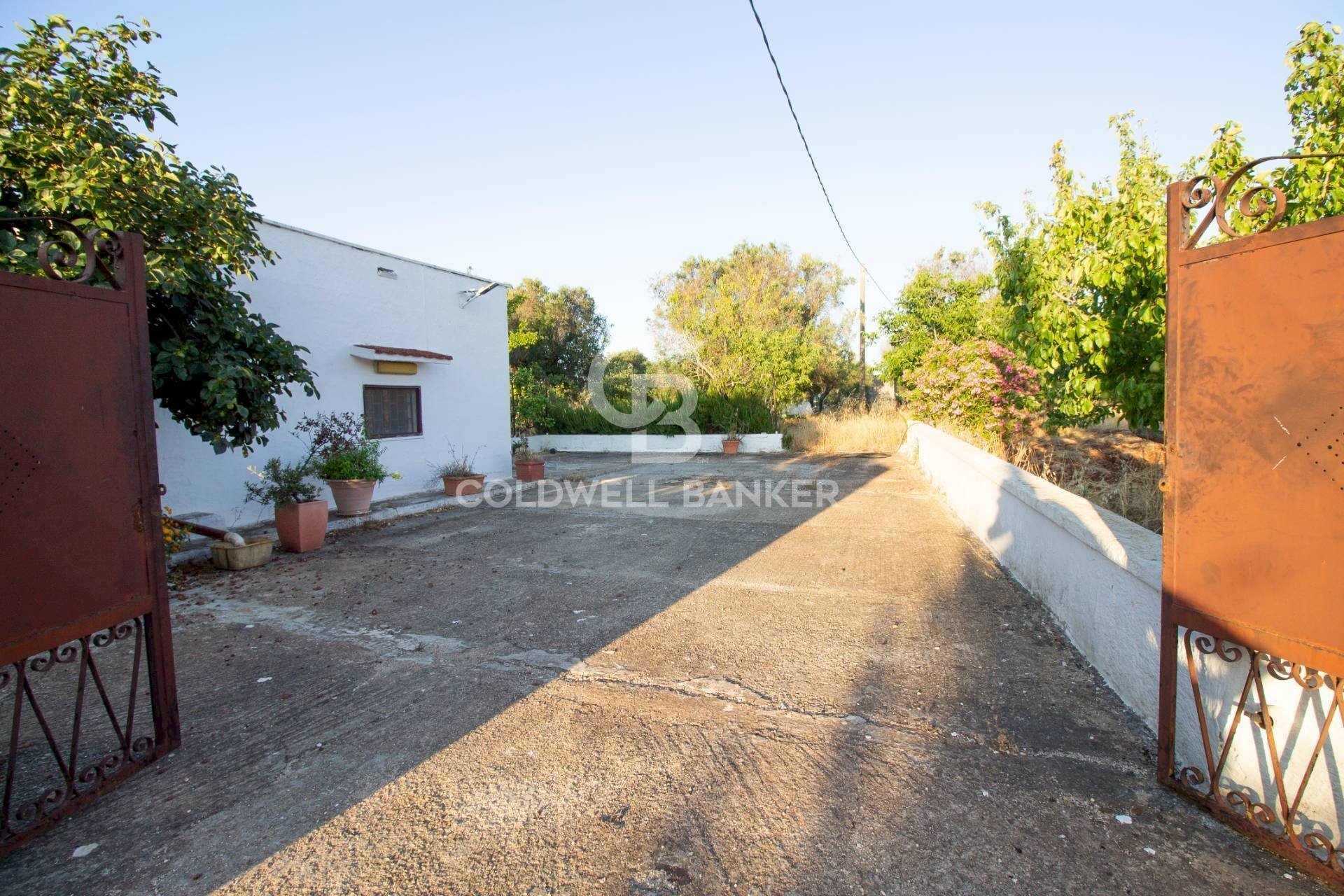 Foto 3 - Villa Contrada Parco Grande
sn, Carovigno - foto 3