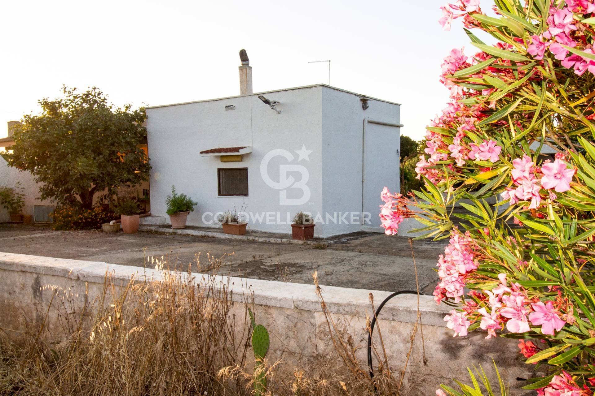 Foto 1 - Villa Carovigno - foto 1