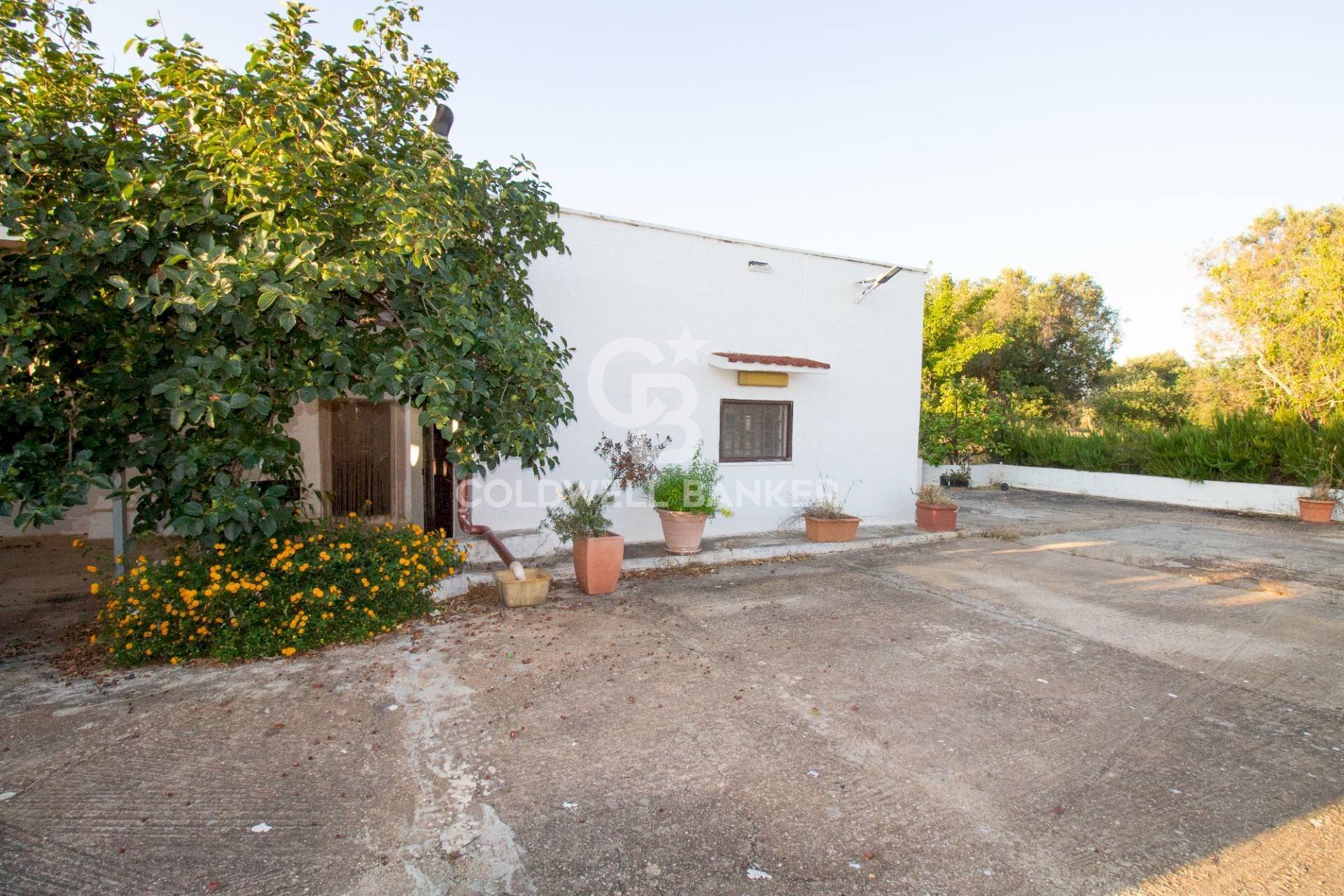 Foto 1 - Villa Contrada Parco Grande
 
sn, Carovigno - foto 1