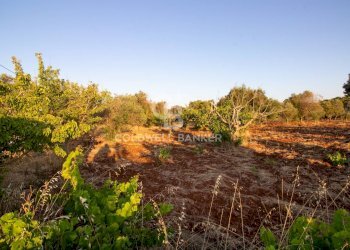 Foto 16 - Villa Contrada Parco Grande
 
sn, Carovigno - foto 14