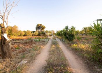 Foto 17 - Villa Contrada Parco Grande
 
sn, Carovigno - foto 15