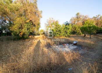 Foto 35 - Villa Contrada Parco Grande
 
sn, Carovigno - foto 33