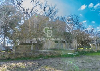 Foto 11 - Villa Via Noci
 
Snc, Gioia del Colle - foto 11