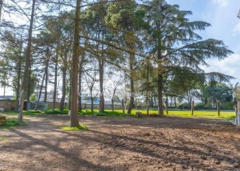 Foto 20 - Villa Via Noci
 
Snc, Gioia del Colle - foto 20