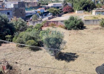 Non correlato - Terreno agricolo CORSO UMBERTO I
13, Villabate - foto 21