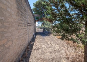 Giardino - Magazzino via Magellano
 
14, Grammichele - foto 8