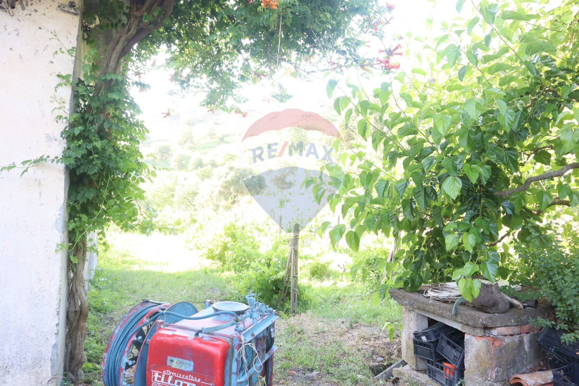 Giardino - Terreno agricolo contrada rausa
 
11, Castiglione di Sicilia - foto 3