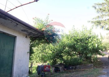 Giardino - Terreno agricolo contrada rausa
 
11, Castiglione di Sicilia - foto 2