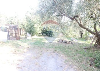 Giardino - Terreno agricolo contrada rausa
 
11, Castiglione di Sicilia - foto 4