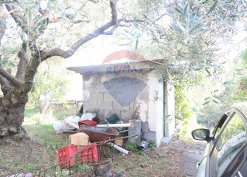 Giardino - Terreno agricolo contrada rausa
 
11, Castiglione di Sicilia - foto 6