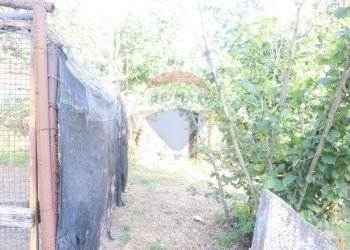 Giardino - Terreno agricolo contrada rausa
 
11, Castiglione di Sicilia - foto 7