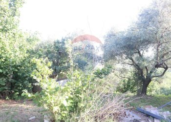 Non correlato - Terreno agricolo contrada rausa
 
11, Castiglione di Sicilia - foto 8