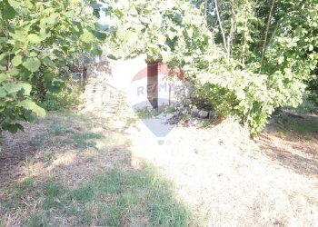 Giardino - Terreno agricolo contrada rausa
 
11, Castiglione di Sicilia - foto 10