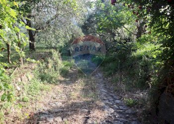 Giardino - Terreno agricolo contrada rausa
 
11, Castiglione di Sicilia - foto 14