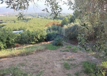 Giardino - Terreno agricolo contrada rausa
 
11, Castiglione di Sicilia - foto 15