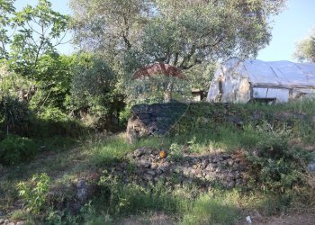 Giardino - Terreno agricolo contrada rausa
 
11, Castiglione di Sicilia - foto 18