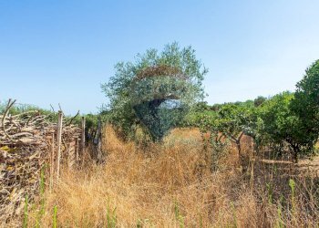 Vista delle montagne - Villa contrada valle giumarra, Niscemi - photo 47