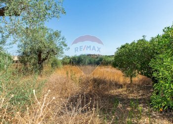 Giardino - Villa contrada valle giumarra, Niscemi - photo 48