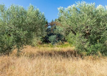 Giardino - Villa contrada valle giumarra, Niscemi - photo 49