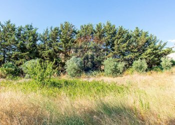 Giardino - Villa contrada valle giumarra, Niscemi - photo 51
