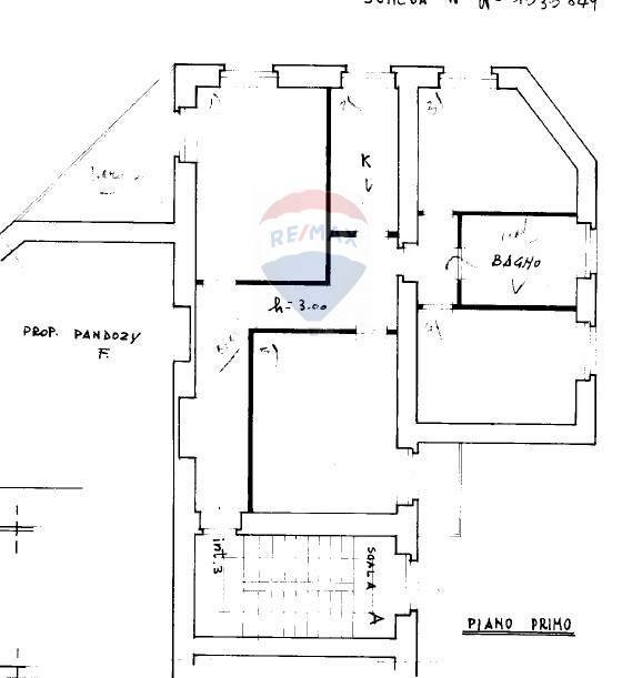 Pianta 2D - Quadrilocale Via Ninfa
 
7, Anzio - planimetria 1