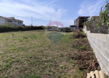 Giardino - Terreno edificabile Via delle Fuchsie
snc, Ardea - foto 4