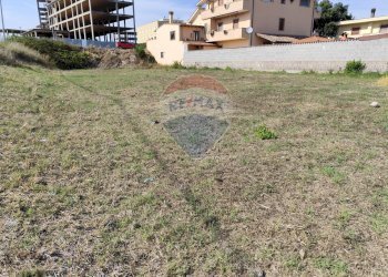 Giardino - Terreno edificabile Via delle Fuchsie
snc, Ardea - foto 5