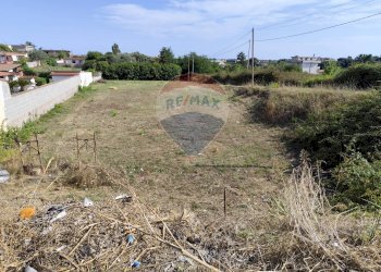 Giardino - Terreno edificabile Via delle Fuchsie
snc, Ardea - foto 6