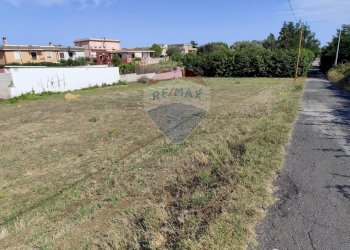 Giardino - Terreno edificabile Via delle Fuchsie
snc, Ardea - foto 7