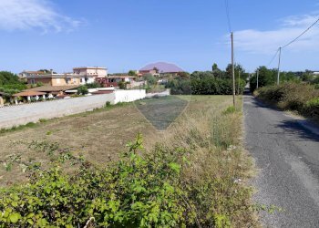 Giardino - Terreno edificabile Via delle Fuchsie
snc, Ardea - foto 8