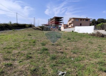 Giardino - Terreno edificabile Via delle Fuchsie
snc, Ardea - foto 10