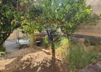 Giardino - Casa indipendente Via Toniolo ang. Via Della Libertà
 
5, Mirabella Imbaccari - foto 8