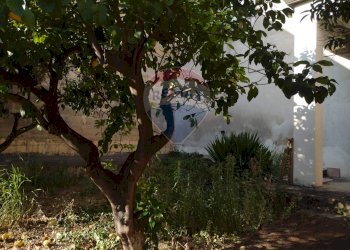 Giardino - Casa indipendente Via Toniolo ang. Via Della Libertà
 
5, Mirabella Imbaccari - foto 9