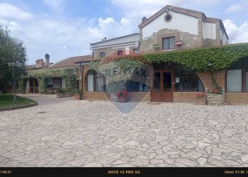 Casa all\'aperto - Agriturismo Contrada Carpine
 
SNC, Bovino - foto 4