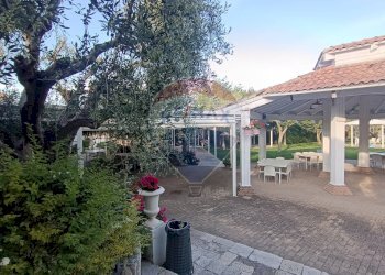 Terrazza - Agriturismo Contrada Carpine
 
SNC, Bovino - foto 7