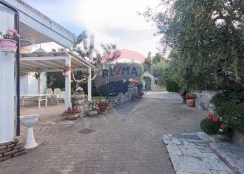 Terrazza - Agriturismo Contrada Carpine
 
SNC, Bovino - foto 8